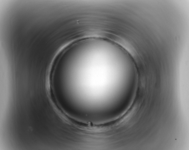 X0000099580980200805231547