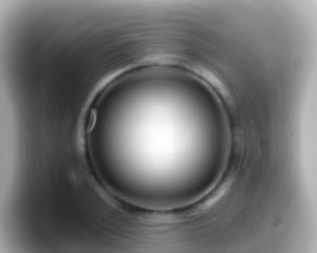 X0000099580981200805231547