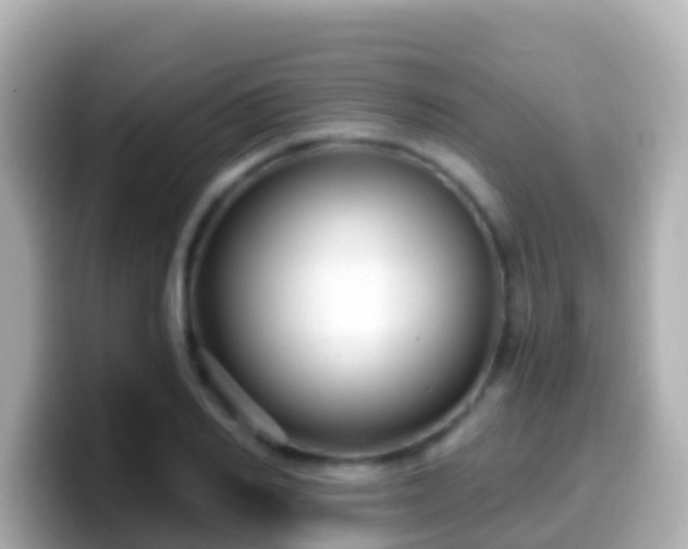 X0000099580982200805231547