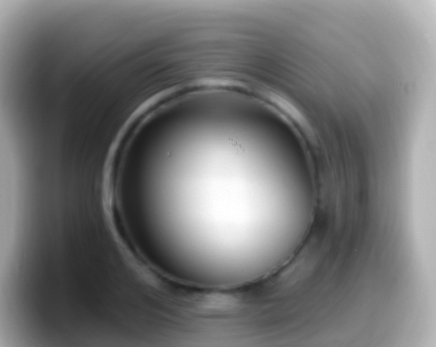 X0000099580984200805231547