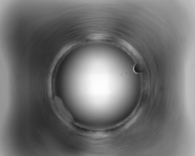 X0000099580986200805231547