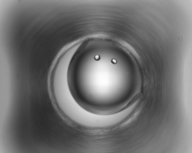 X0000099580989200805231547