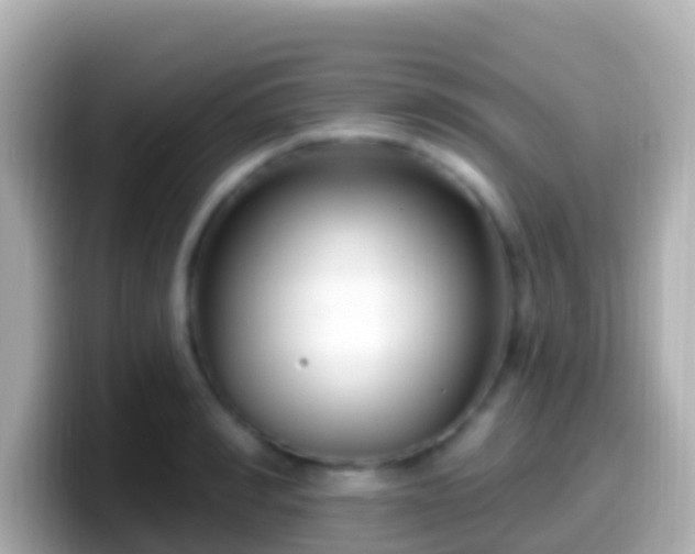 X0000099580990200805231547