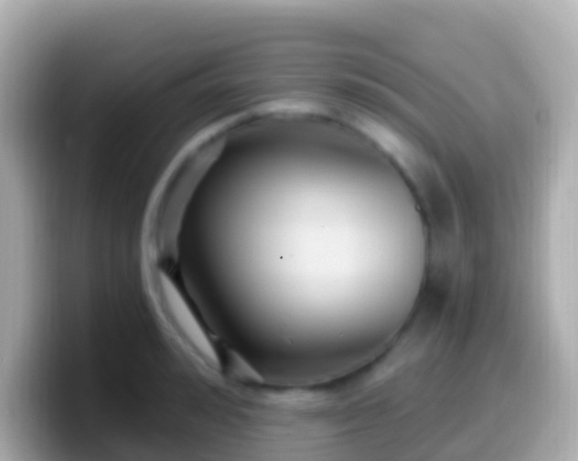 X0000099580992200805231547