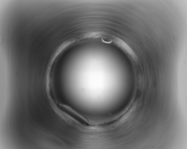 X0000099580994200805231547