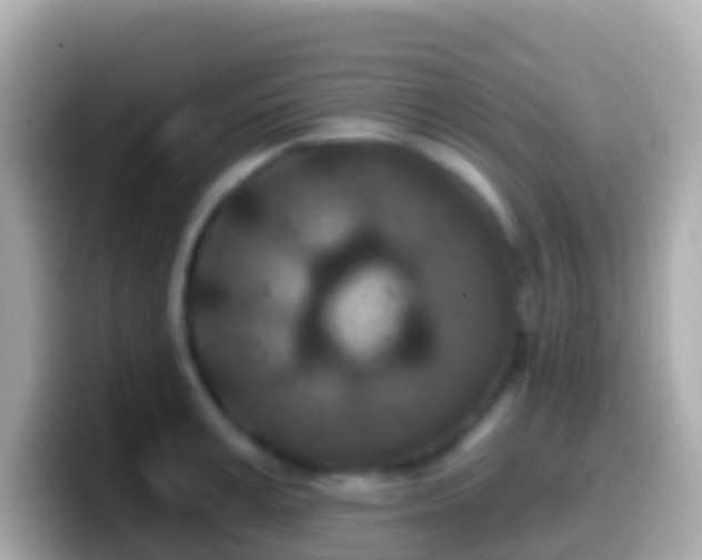 X0000099580995200805231547