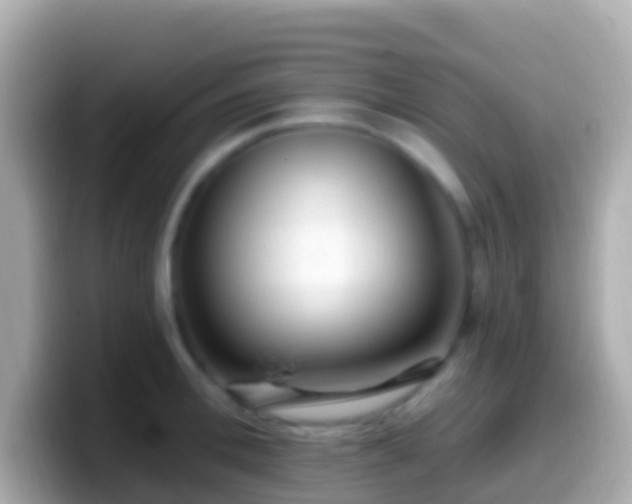 X0000099580996200805231547