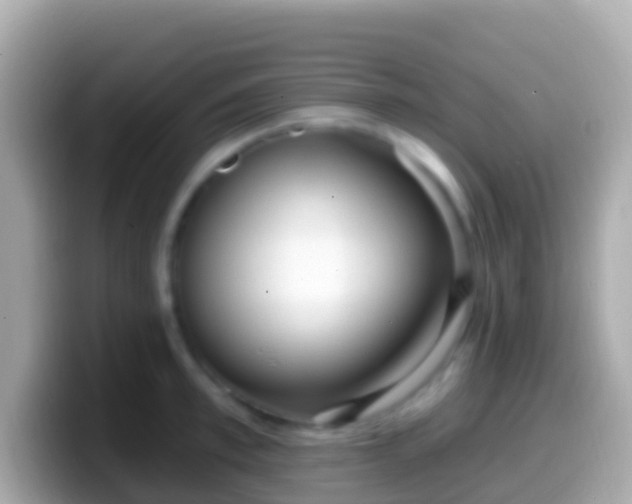 X0000099580997200805231547
