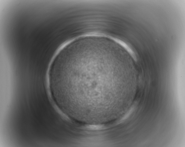 X0000099580998200805231547