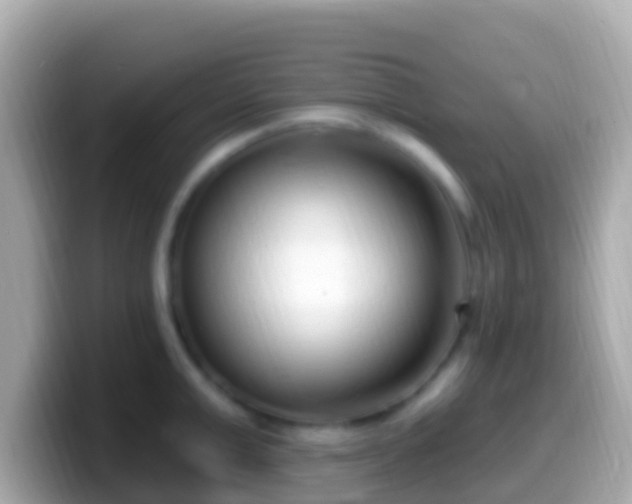 X0000099580999200805231547