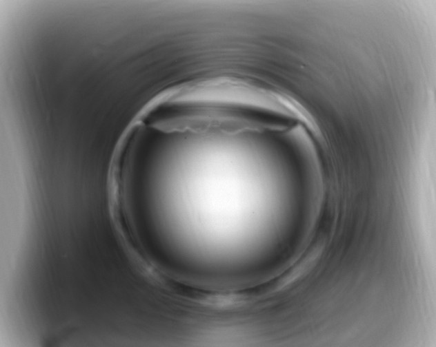 X0000099581000200805231547