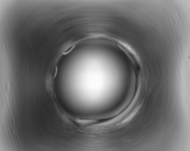 X0000099581001200805231547