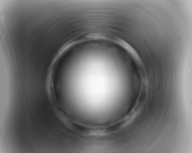 X0000099581002200805231547