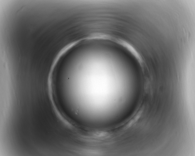 X0000099581003200805231547