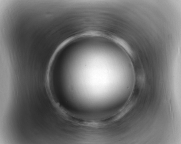 X0000099581004200805231547