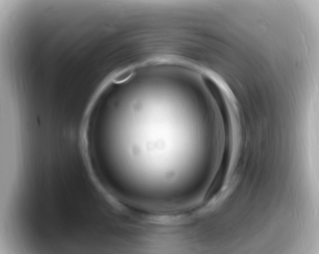 X0000099581005200805231547