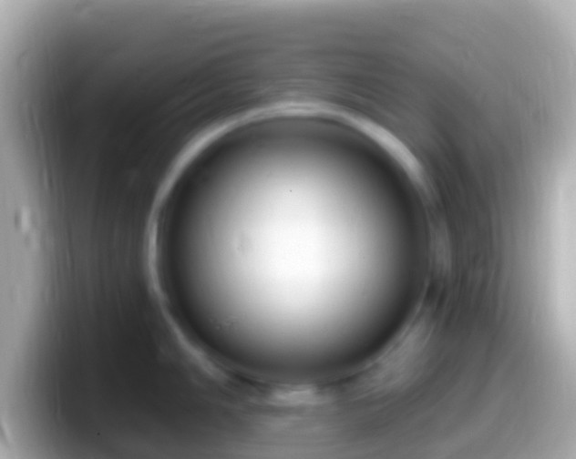 X0000099581006200805231547