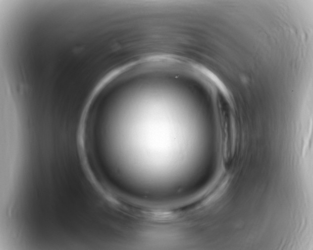 X0000099581007200805231547
