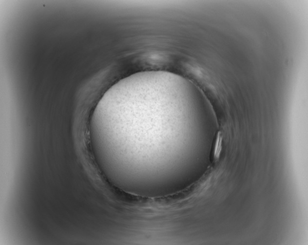 X0000099581009200805231546