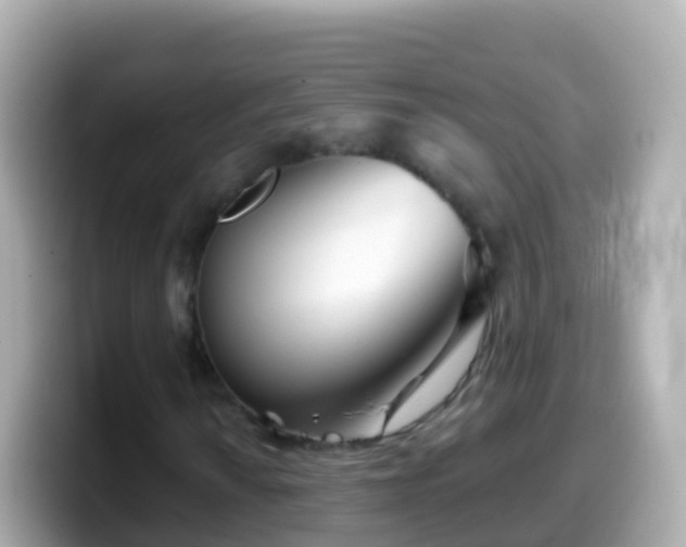 X0000099581010200805231546