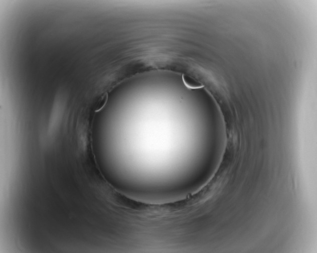 X0000099581012200805231546