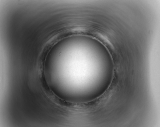 X0000099581015200805231546