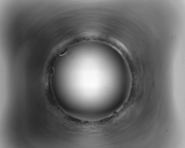 X0000099581016200805231546