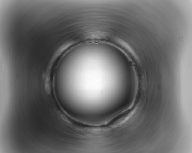 X0000099581018200805231546