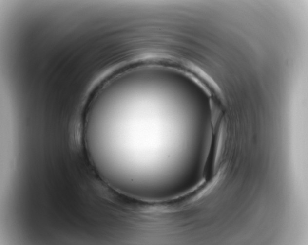 X0000099581021200805231546