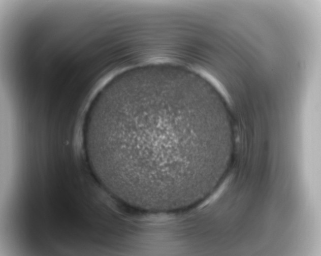 X0000099581023200805231546