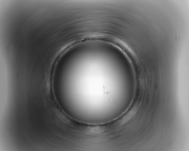 X0000099581025200805231546