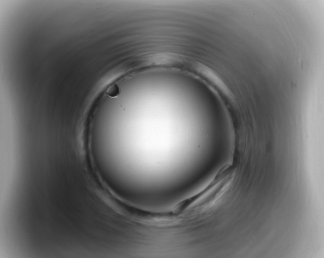 X0000099581026200805231546