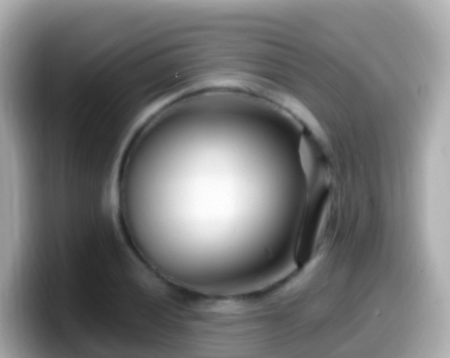 X0000099581028200805231546
