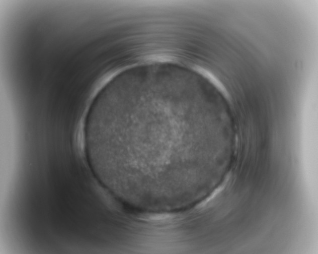 X0000099581031200805231547