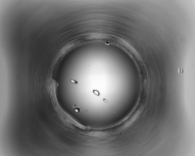 X0000099581033200805231547
