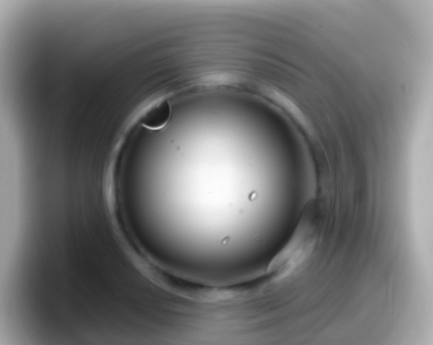 X0000099581034200805231547