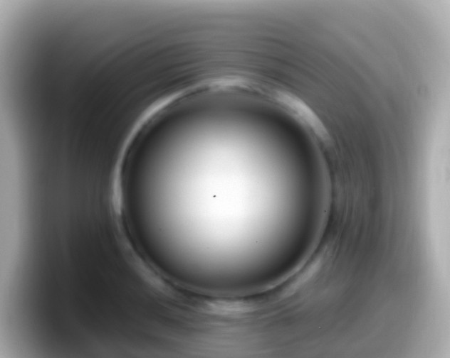X0000099581036200805231547