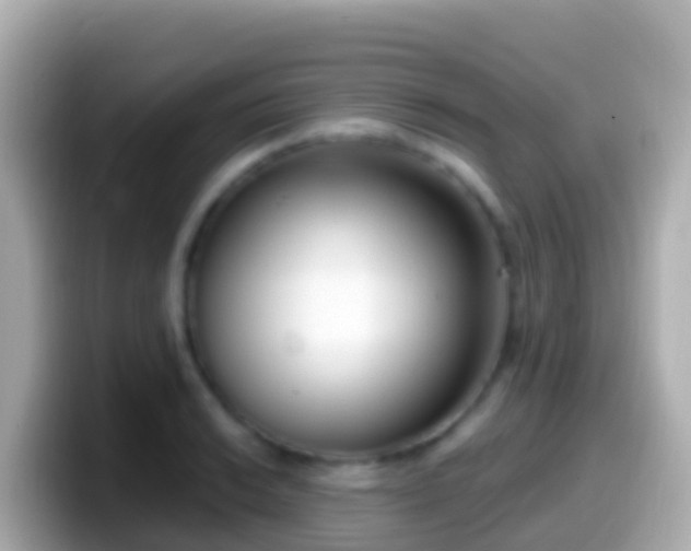 X0000099581038200805231547