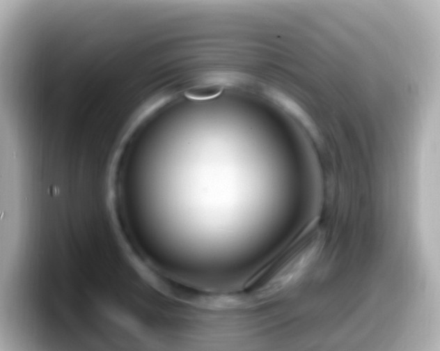 X0000099581042200805231547