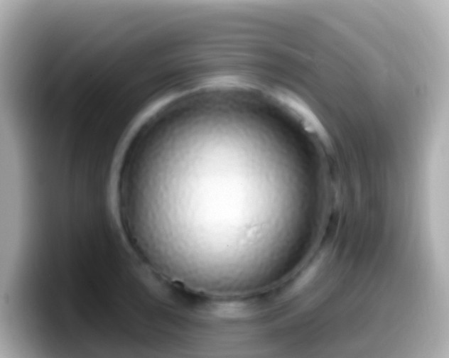 X0000099581043200805231547