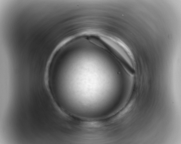 X0000099581045200805231547