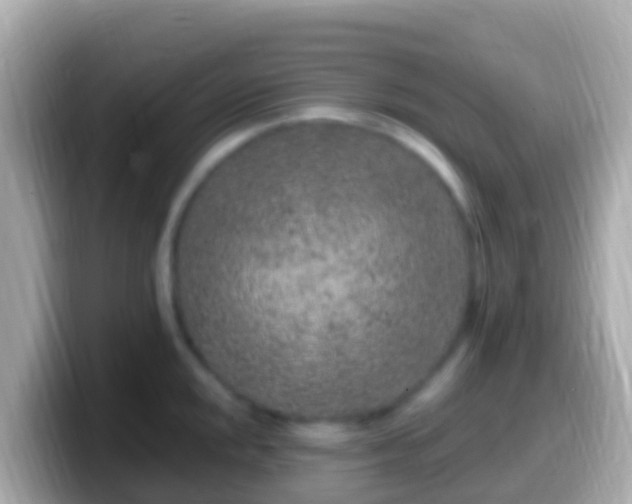 X0000099581048200805231547