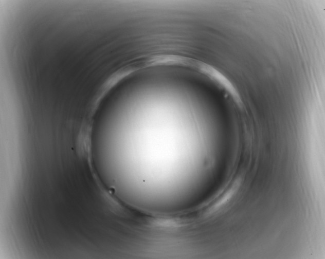 X0000099581049200805231547