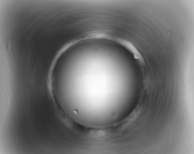 X0000099581051200805231547