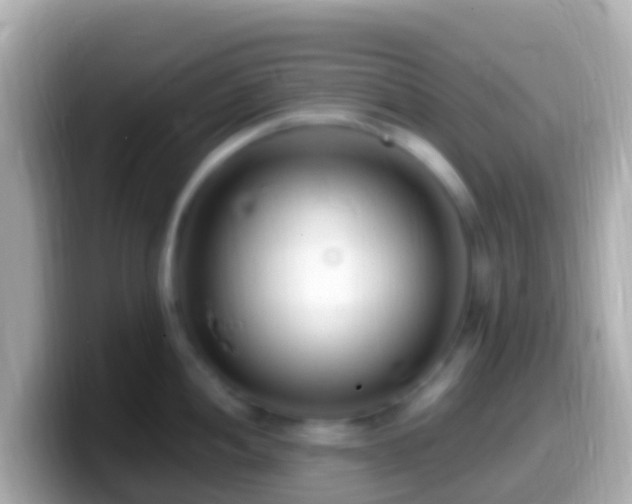 X0000099581052200805231547