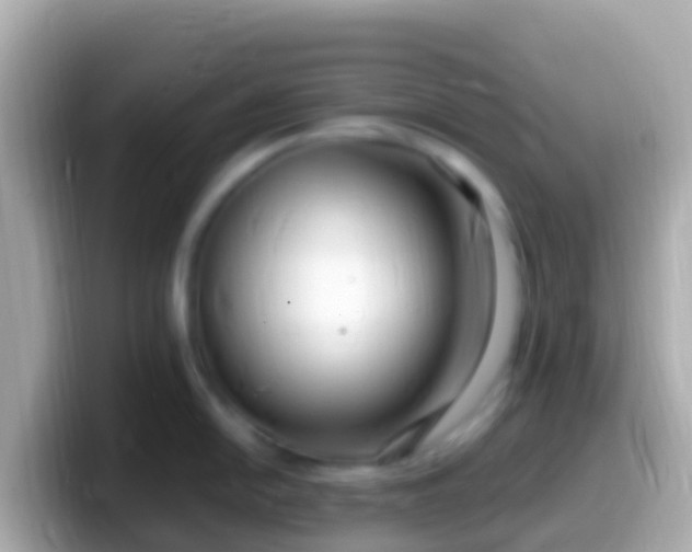 X0000099581054200805231547