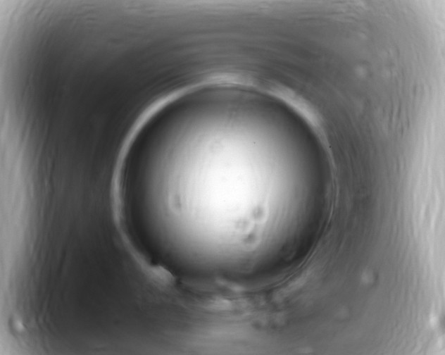 X0000099581056200805231547