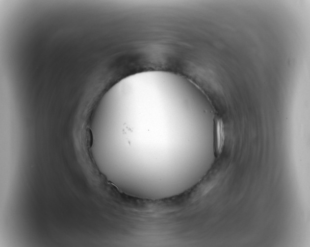 X0000099581057200805231546