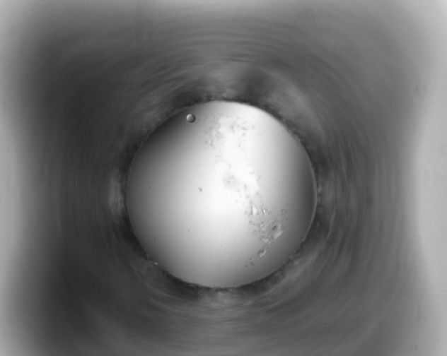 X0000099581058200805231546