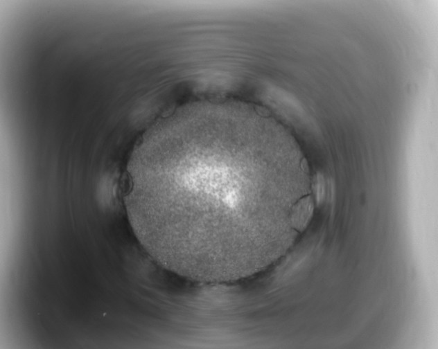 X0000099581059200805231546